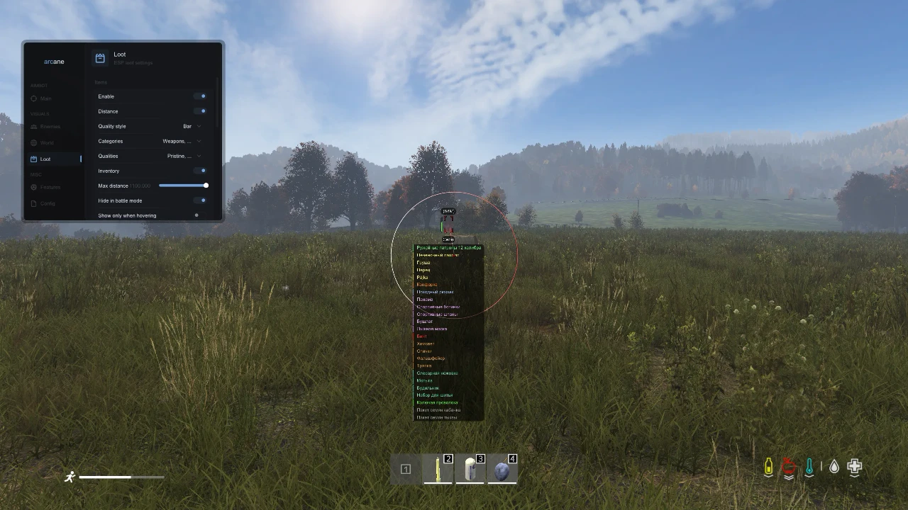 ARCANE DayZ — скриншот 1